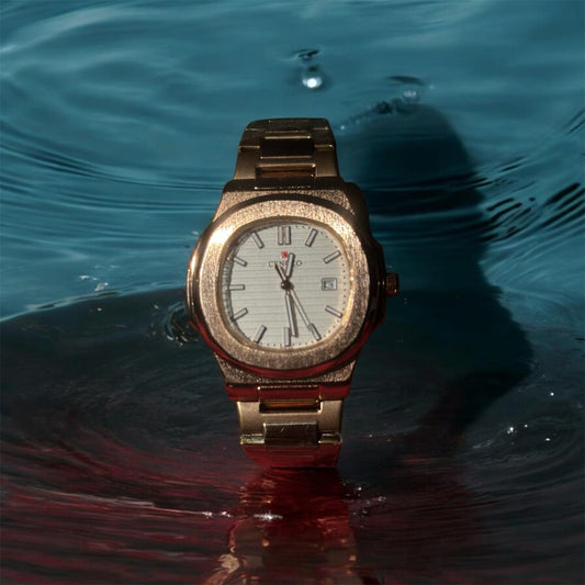 PATEK PHILLEPE BROWN-REGARO